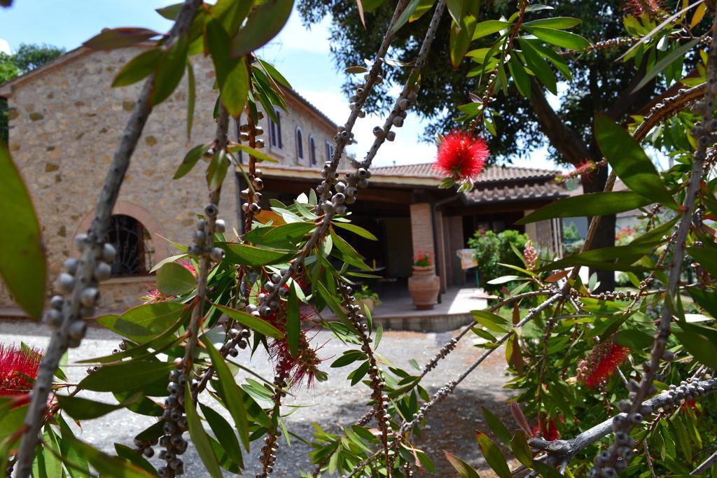 Agriturismo La Ghiraia Santa Luce Pokoj fotografie