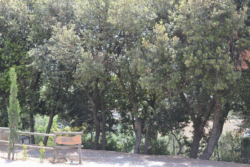 Agriturismo La Ghiraia Santa Luce Exteriér fotografie