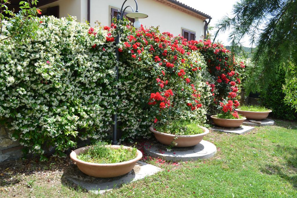 Agriturismo La Ghiraia Santa Luce Exteriér fotografie