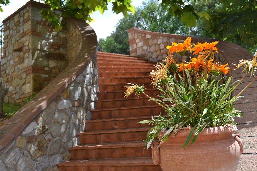 Agriturismo La Ghiraia Santa Luce Exteriér fotografie